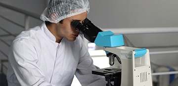 adult biology chemical 356040 1