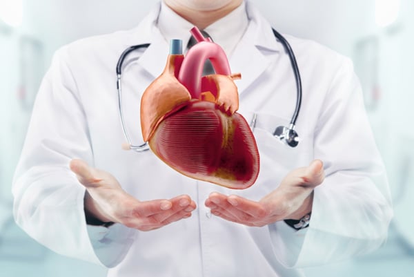 heart