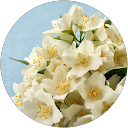 Sudipta Sanyal profile picture